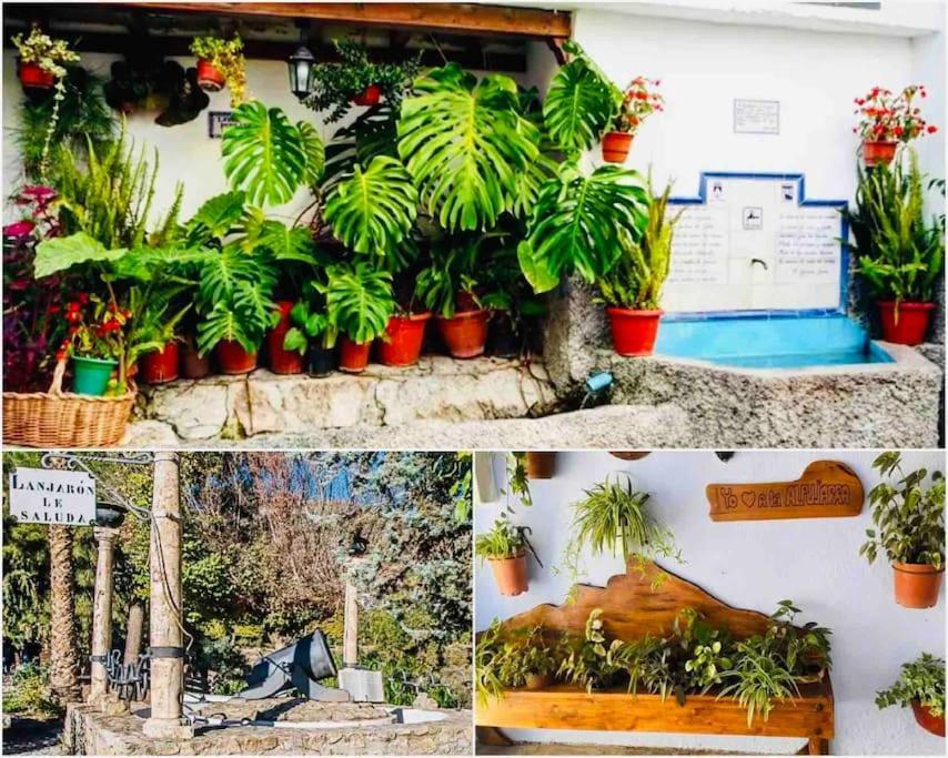 Vila El Aguacate Lanjarón Exteriér fotografie